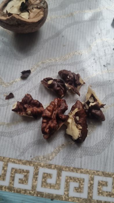 Сатылады грецкие орехи