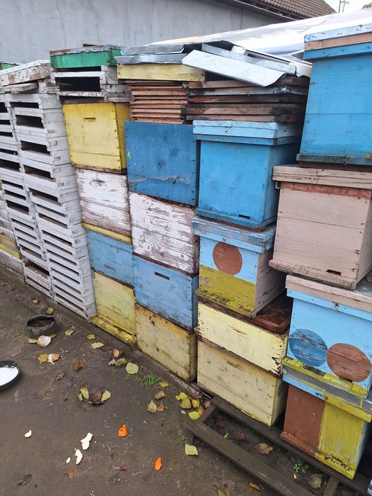 Cutii cu site pentru  extras mierea.