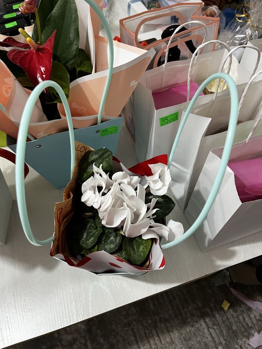 Гүлдер сатылады табиғи