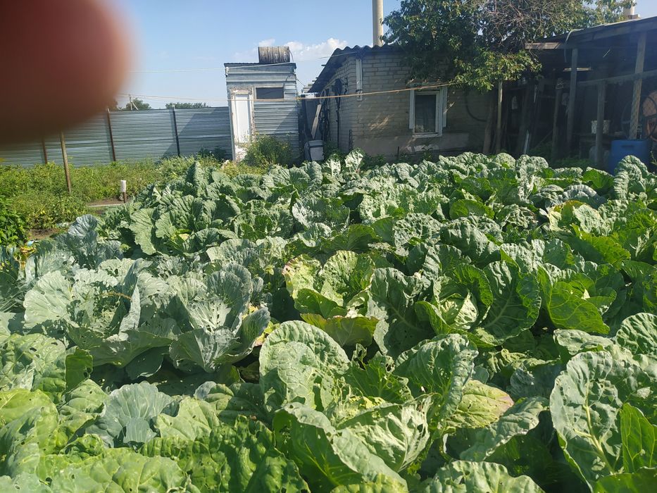 продам  продам дом