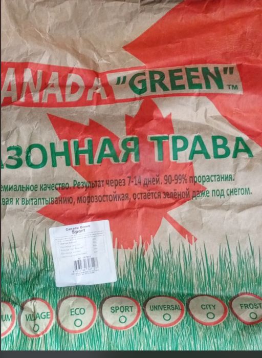 Canada Green газон морозостойкий