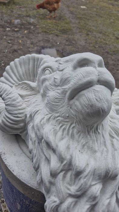 Sculptura decorativa . Cap De Berbec