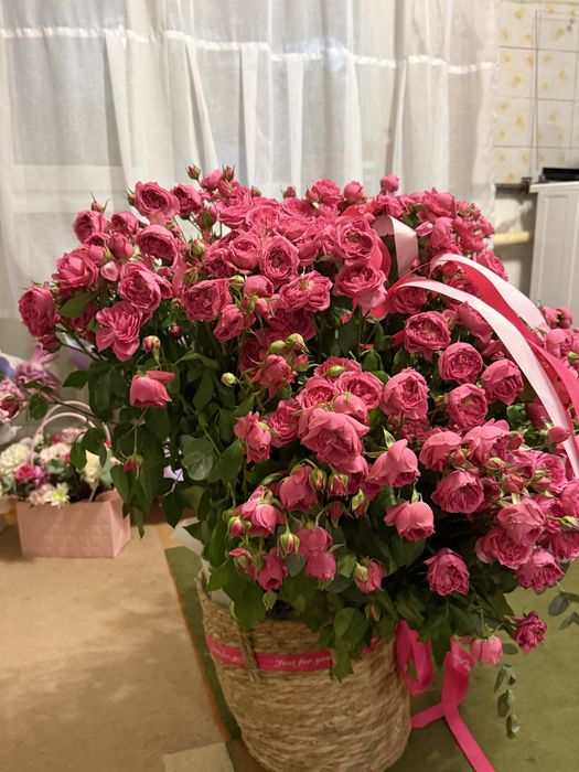 Продам цветы. Подарили сегодня.