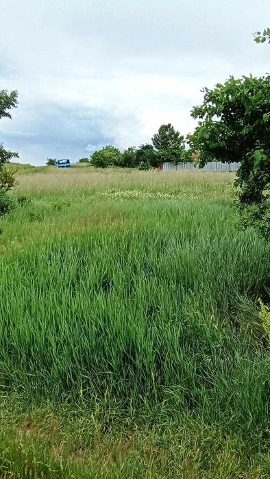 Продава се Парцел в с. Чепинци, Област София-град - 700 кв.м за 100 €/кв.м - Снимка #1