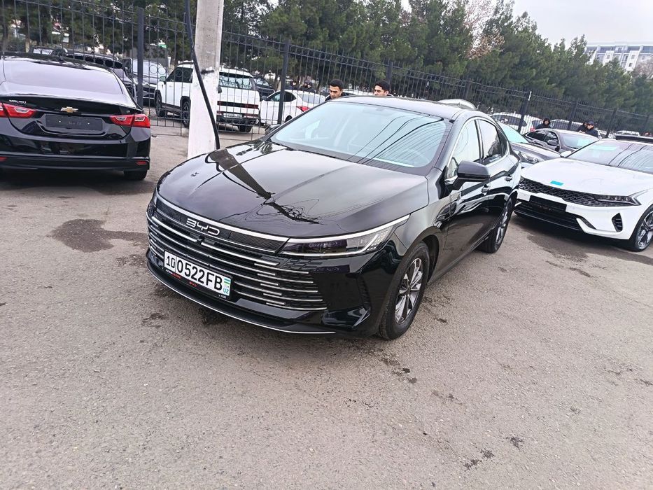 Чазор 1паз Гибрит Тозза краска 2024 25 йил 24000 Юрган