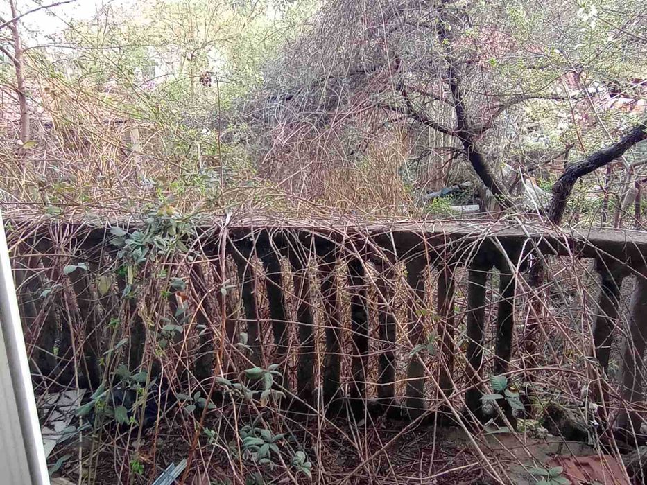 Продава се Къща в Берковица - 90 кв.м за 478 €/кв.м - Снимка #4