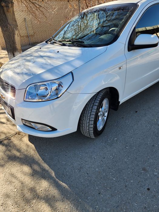 Nekisya ravon 2022yil