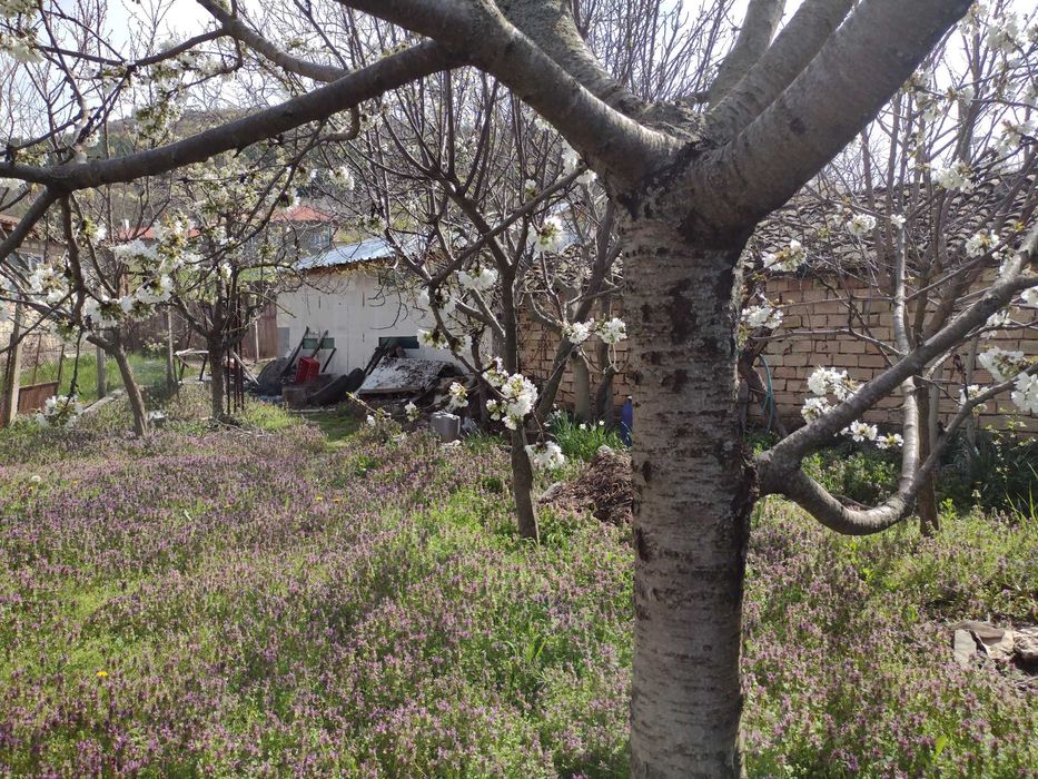 Продава се Къща в Търговище, Вароша - 90 кв.м за 667 €/кв.м - Снимка #11