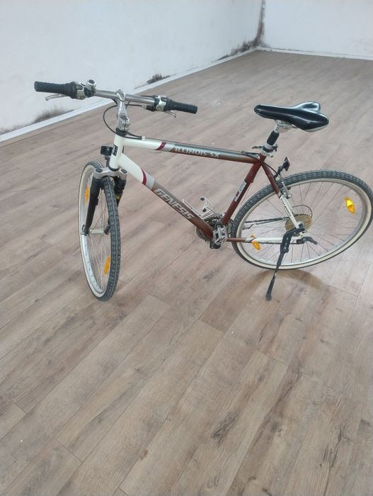 Bicicleta adulti