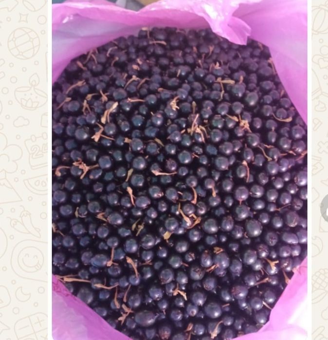 Дача на первой водоколонке. Вьезд во вторые ворота