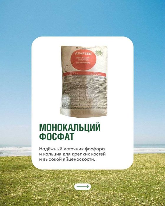 Кормовые добавки для птиц , КРС , рыб