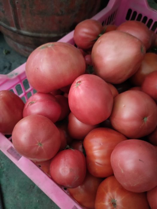Продам домашние помидоры