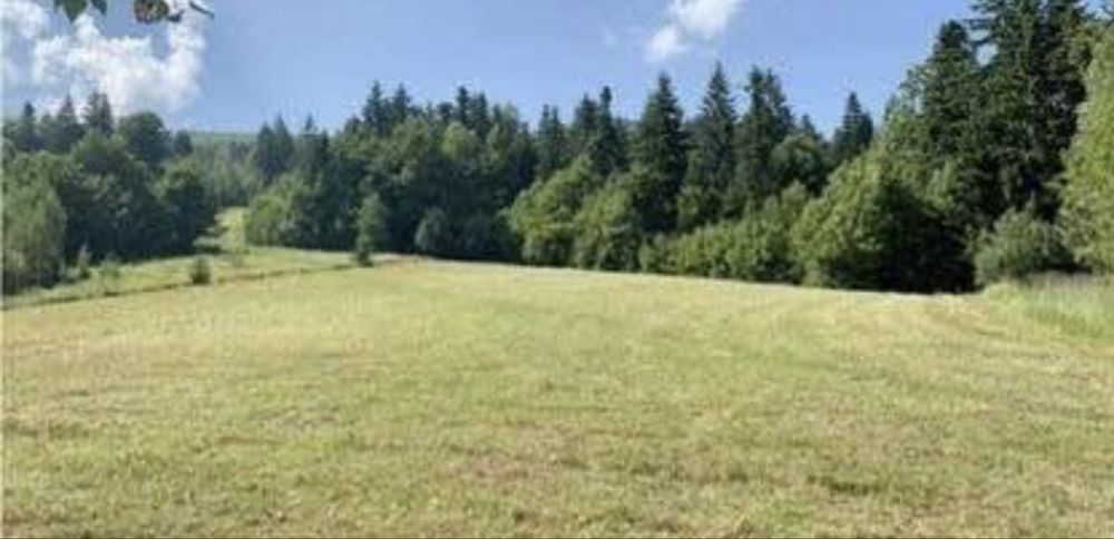 Teren de vanzare Sucevita