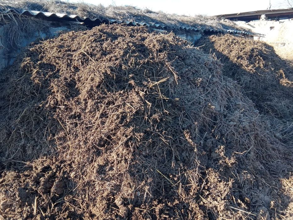 Арзон  нархда Мол гунги (нури) сотилади