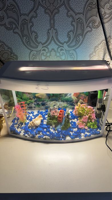 Akvarium srochna sotiladi