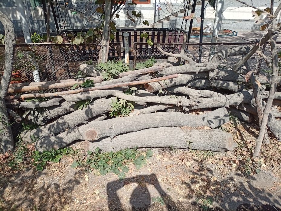 Ўтинлар сотилади ҳар ҳил.