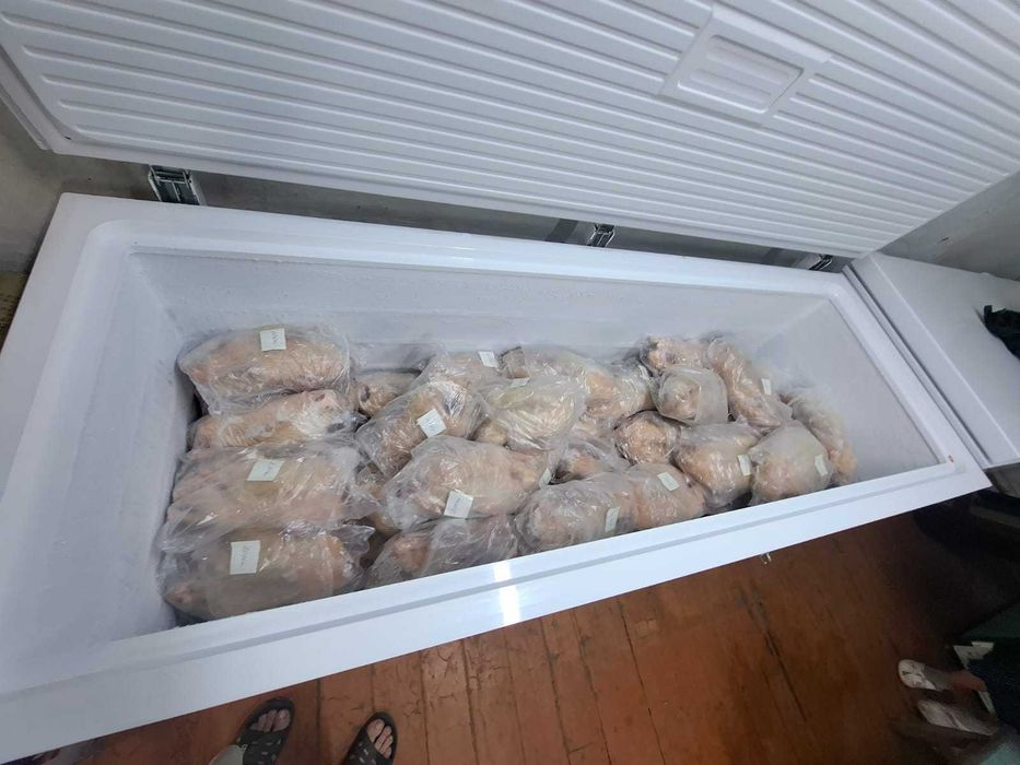 продам тушки утки Стар -53