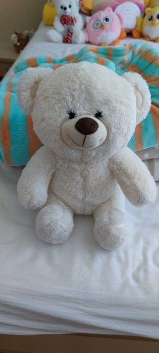 Плюшени мечета, Пони с механизъм конче