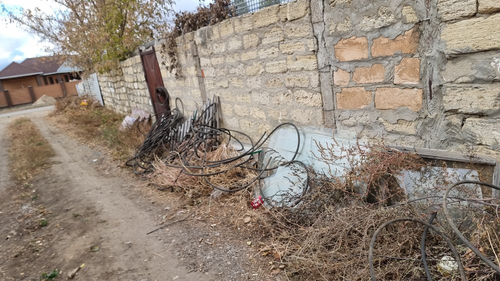 Отдам Дрова бесплатно