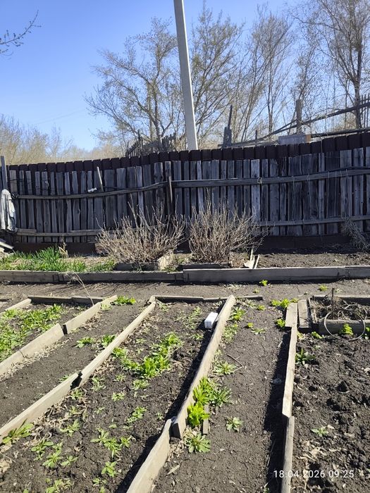 Продаю дачу Новостройка