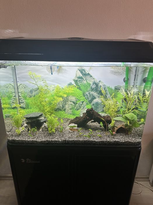 Аквариум 80х36х60 с шкаф и оборудване