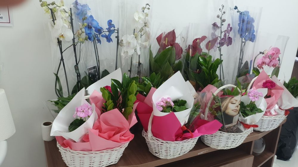 Тірі гүлдер. Живие цветы