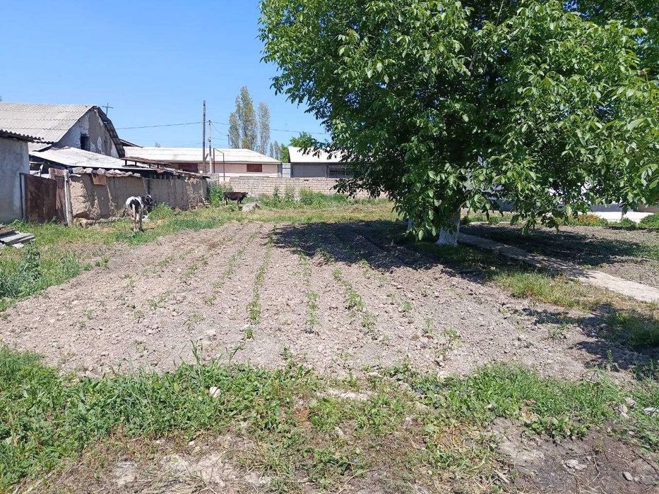 Участка сотилади 6 соток