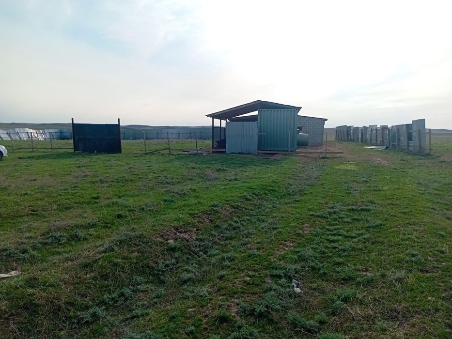 Жер арендаға беріледі 10 га