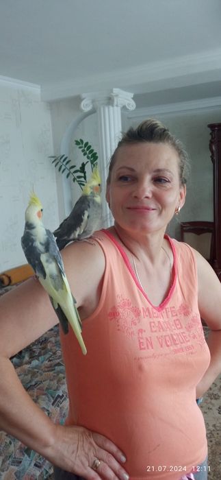 кареллы пара продам