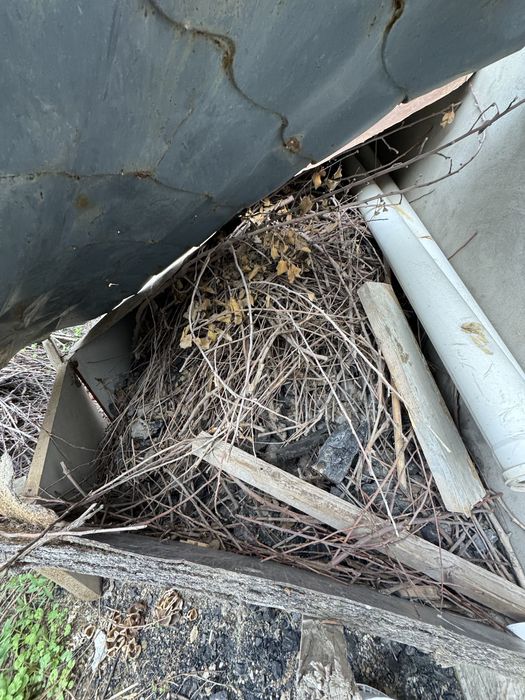 Уголь и дрова отдам бесплатно