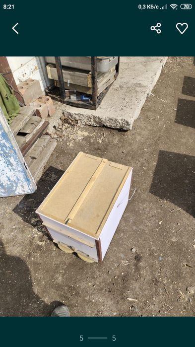 Обмен на мед гречневый