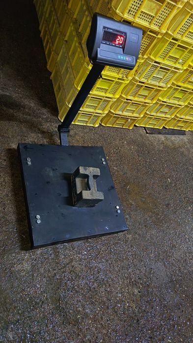 Go'sht maxsulotlarini tortadi tarozi