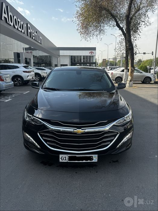 Malibu PREIMER 2022 dekabr