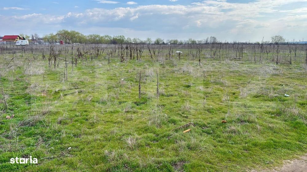 Teren extravilan, 1323 mp, zona Cernele