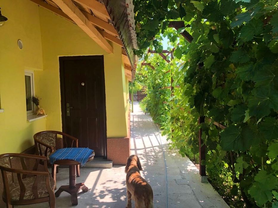 Casa individuală de vânzare