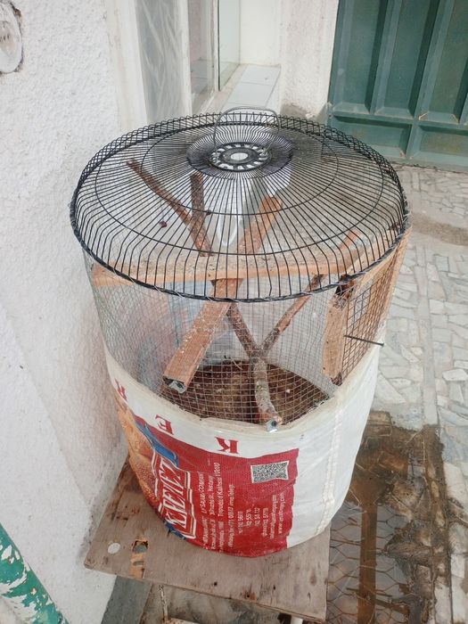 Срочно клетка самодельный для 4 птиц