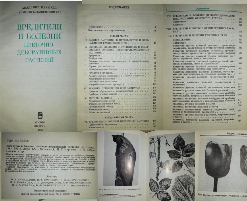 Кактусы Виноградарство Плодово-ягодные Цветы