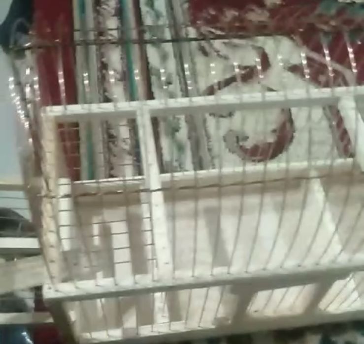 Клетки на ловли птиц