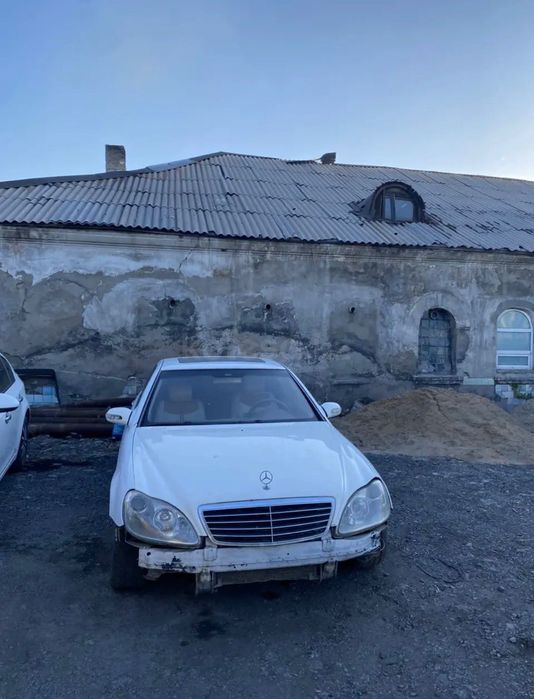 Продам лису армянку