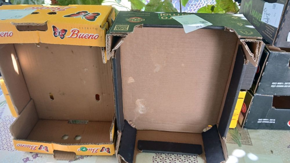 Lazi de carton pentru roșii .