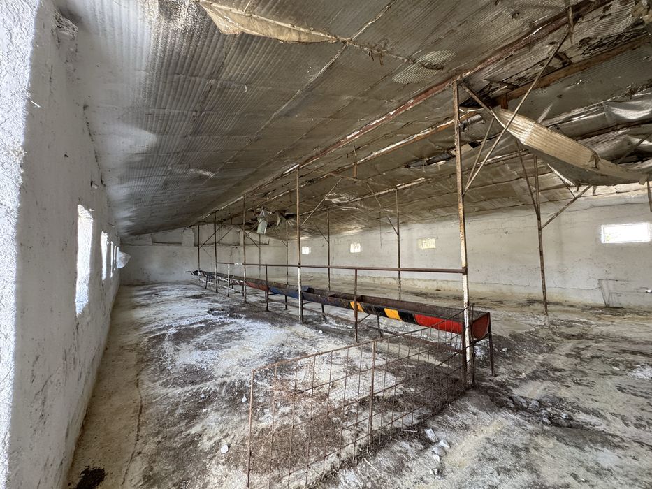 arzon narxda ferma sotiladi samarqand yangi ariqda