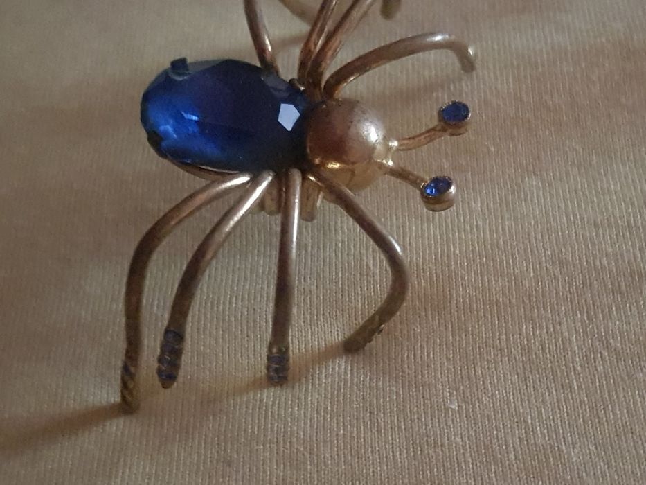 Brosa vitage  pâianjen