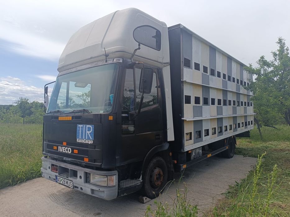 Stupină, Pavilion apicol omologat Iveco Euro Cargo