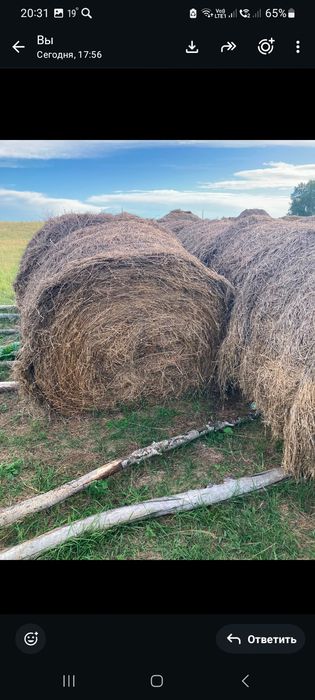 Продам люцерну  7000 за тюк