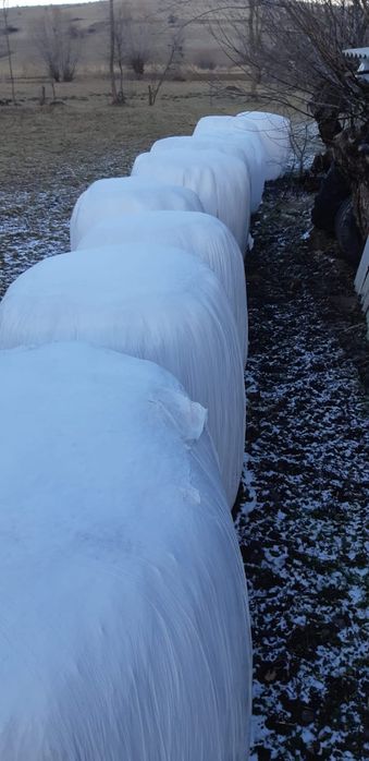 Baloți infoliați de lucernă, otavă şi fân. Baloți rotunzi paie.