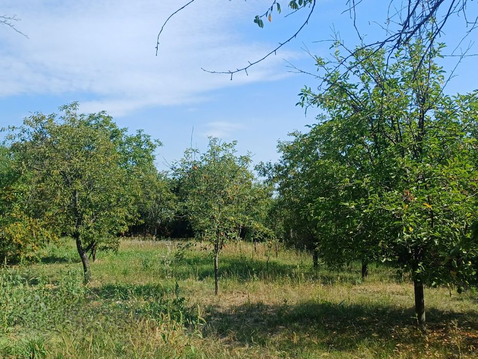 Casă de vânzare centru Popești