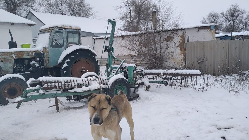 Трактор косилка тырмасымен бар сатылады