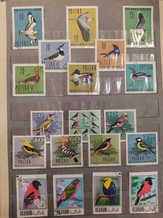 Почтовые марки. Альбом "Животные".