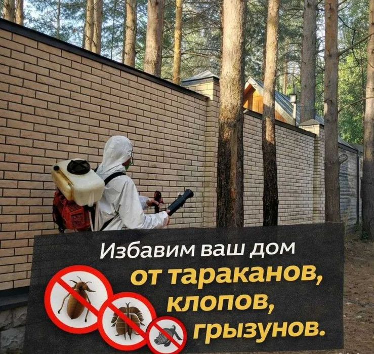 Дезинфекция! Клопы, тараканы, муравьи — решим проблему профессионально