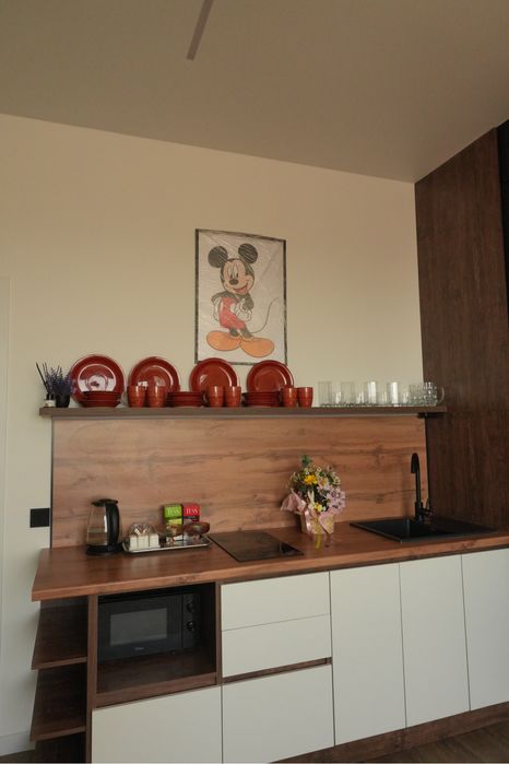 Vip апартаменты, посуточно, центр